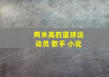 两米高的篮球运动员 歌手 小说